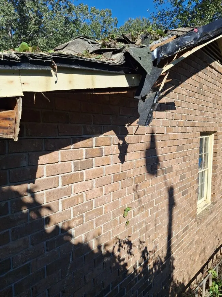 Custom lawn care service in Columbia, SC - Perfect Solution Home Service