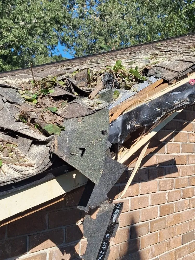 Local garden landscaping experts serving Columbia, SC - Perfect Solution Home Service