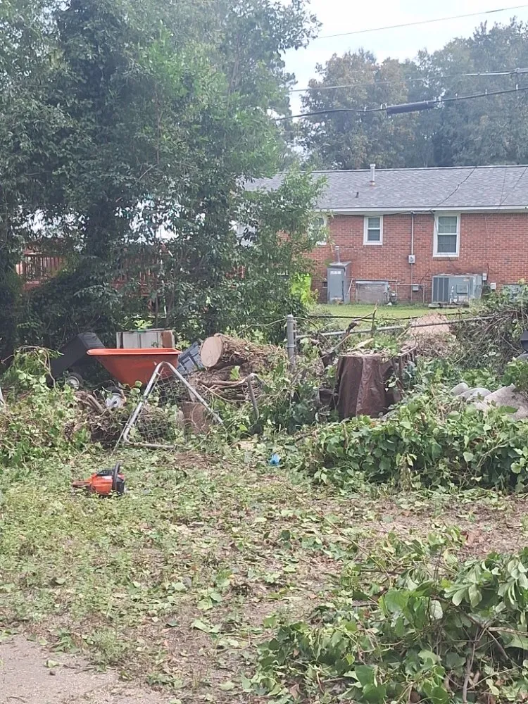 Reliable garden landscaping with custom design in Columbia, SC by Perfect Solution Home Service