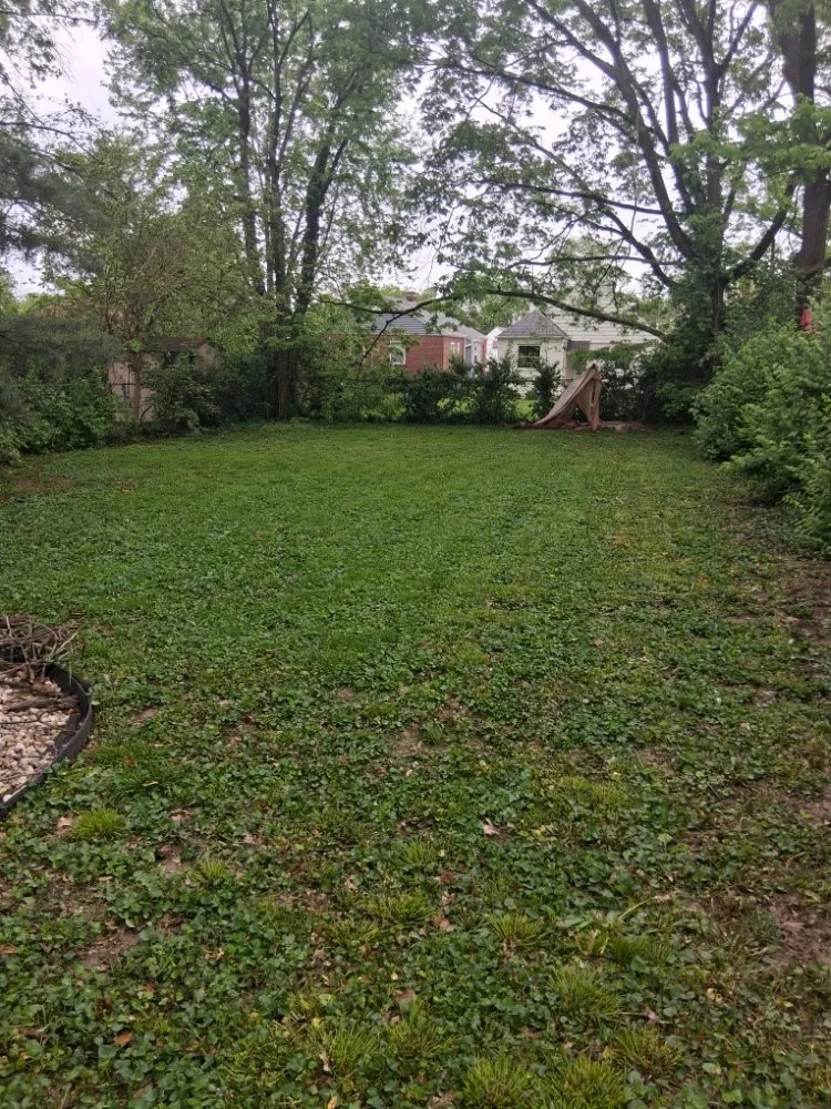 Professional outdoor landscaping experts serving Cincinnati, OH - Perfect Solutions