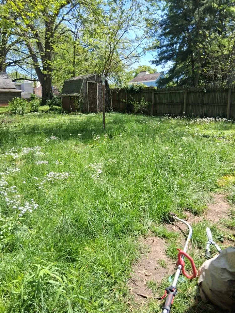 Reliable yard cleanup service for homes across Cincinnati, OH - Perfect Solutions