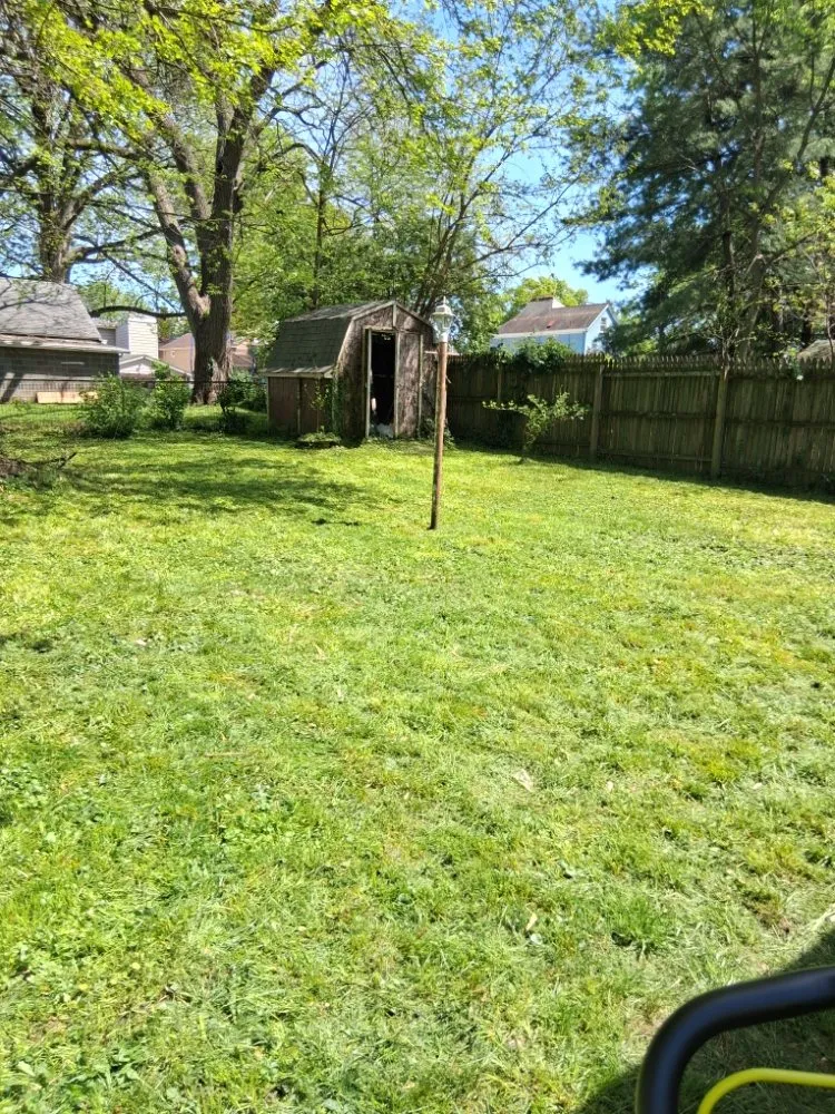 Expert yard maintenance for year-round maintenance in Cincinnati, OH by Perfect Solutions