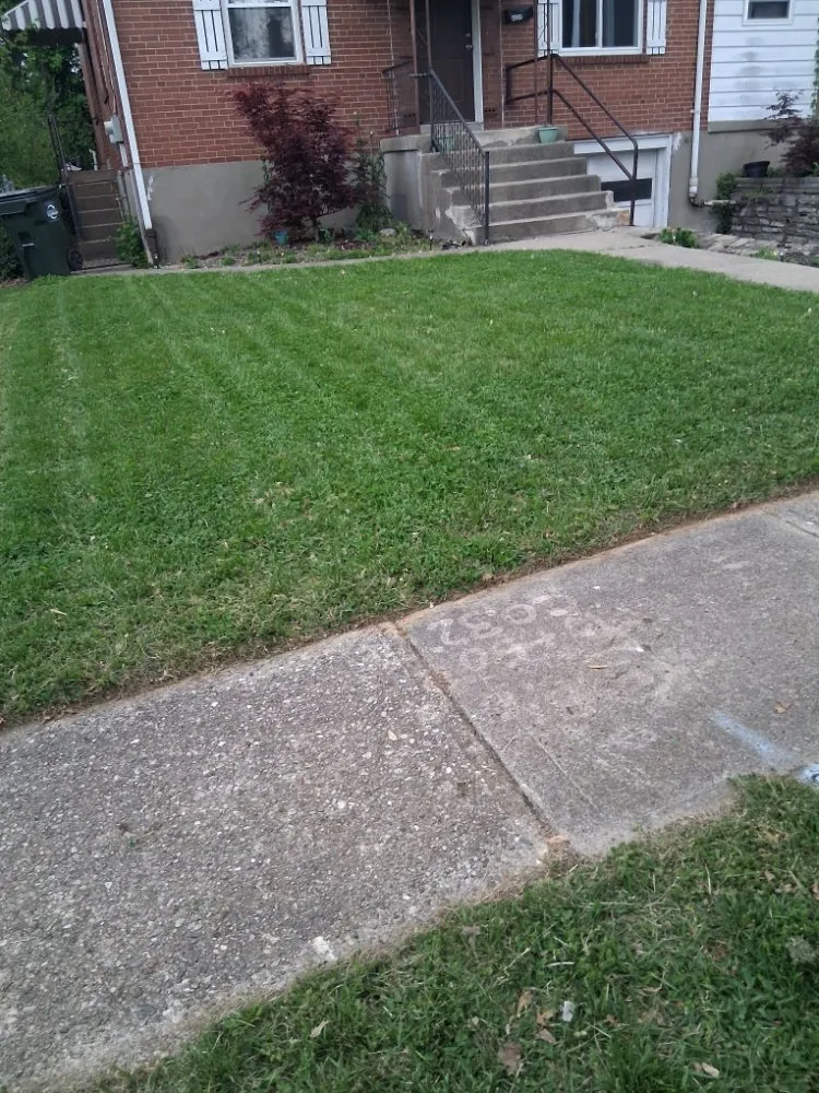 Custom yard cleanup service near you in Cincinnati, OH by Perfect Solutions