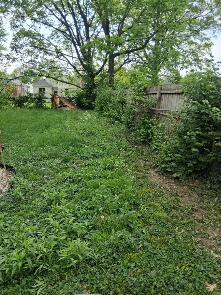 Reliable landscape design in Cincinnati, OH by Perfect Solutions