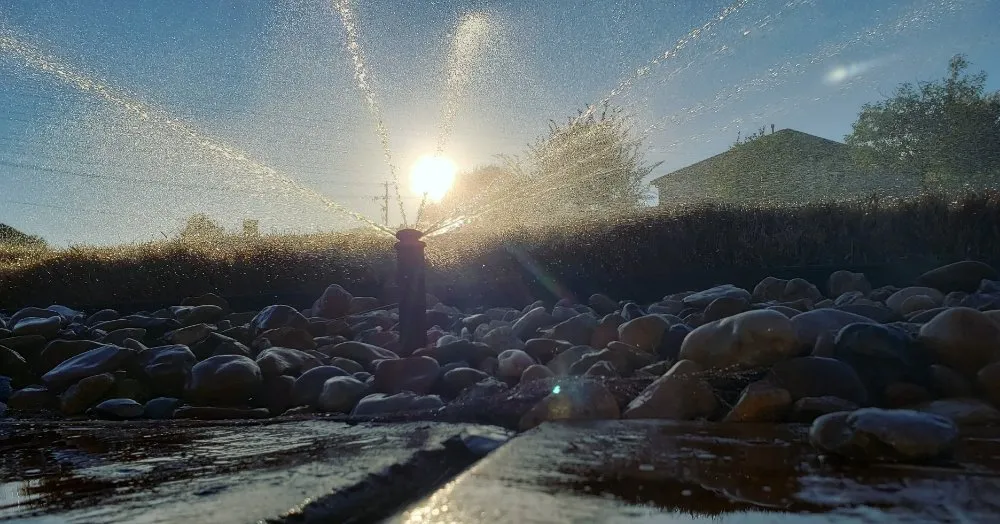 Top-rated outdoor landscaping in Austin, TX by Perfect Sprinklers