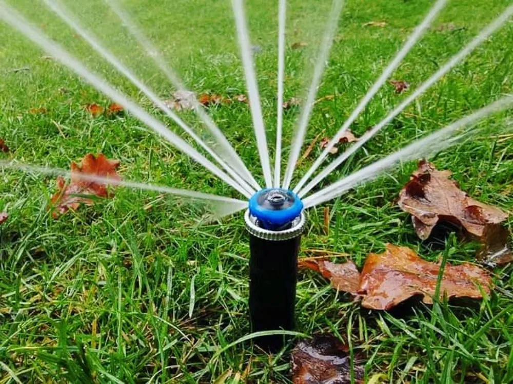 Professional lawn care service in Austin, TX - Perfect Sprinklers