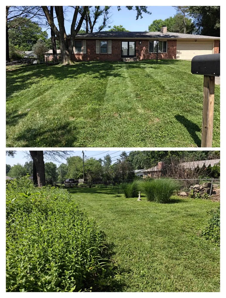 Professional lawn care service for year-round maintenance across Springfield, MO - Perfect Stripe Mowing
