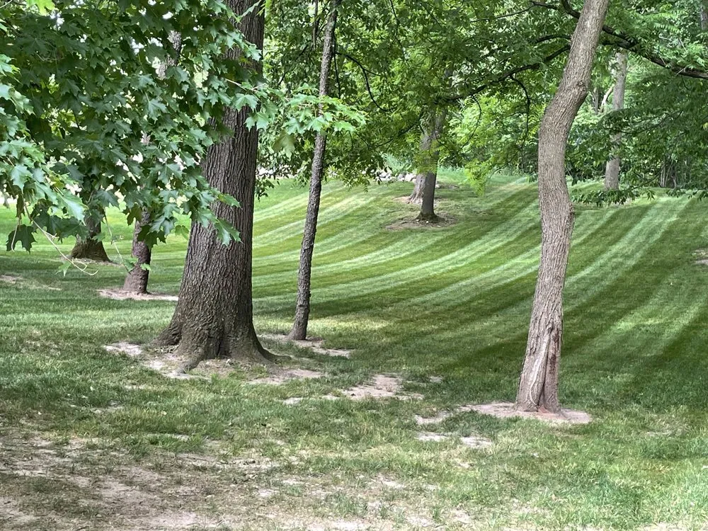 Professional residential landscaping in Coldwater, MI by Perfect Stripes