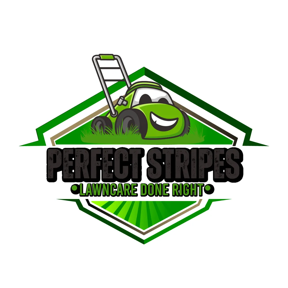 Custom yard maintenance in Omaha, NE - Perfect Stripes Lawncare
