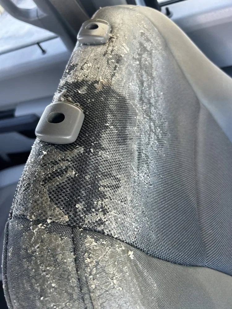 Expert lawn mowing service with custom design across Morristown, TN - Perfect Tenn