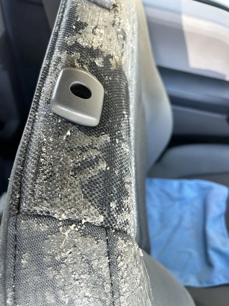 Top-rated residential landscaping in Morristown, TN by Perfect Tenn