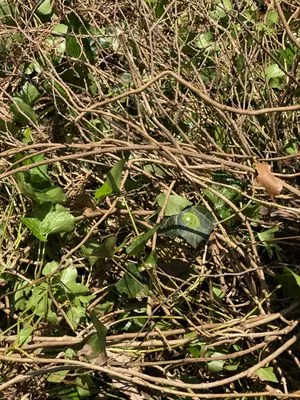 Perfect Touch Contracting Logo