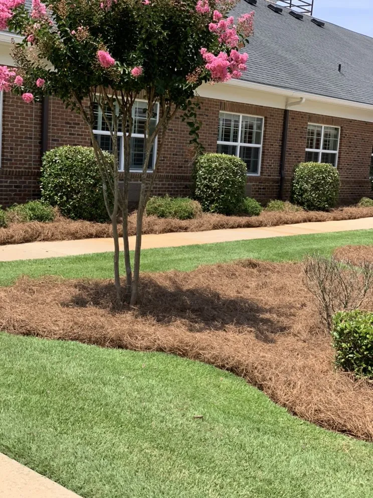 Local lawn care service near you across Louisville, GA - Perfect Touch Landscaping & Pine Straw