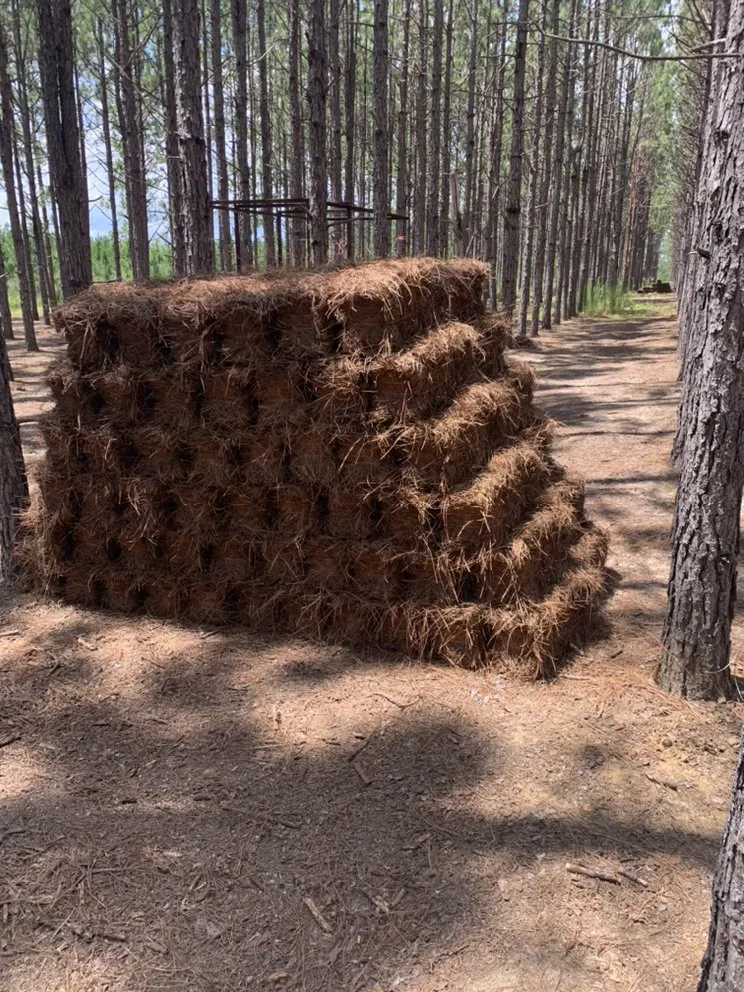 Local residential landscaping for year-round maintenance across Louisville, GA - Perfect Touch Landscaping & Pine Straw