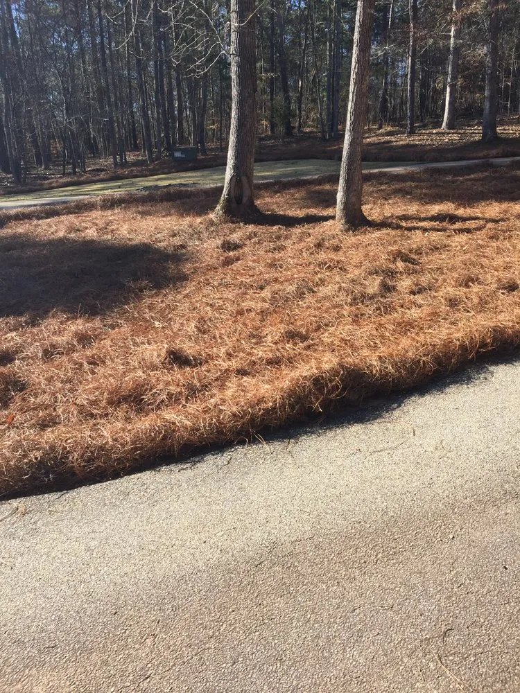 Professional outdoor landscaping in Louisville, GA by Perfect Touch Landscaping & Pine Straw