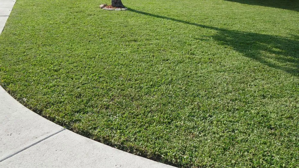 Reliable lawn care service for year-round maintenance in Clermont, FL by Perfect Touch Lawn Maintenance