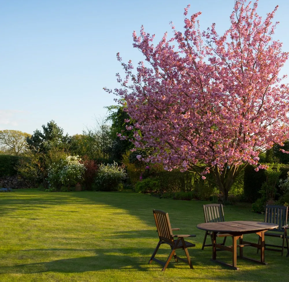 Affordable residential landscaping in Clermont, FL by Perfect Touch Lawn Maintenance