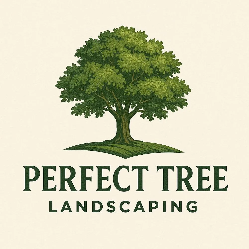 Professional landscape design for year-round maintenance in San Jose, CA by Perfect Tree Landscaping