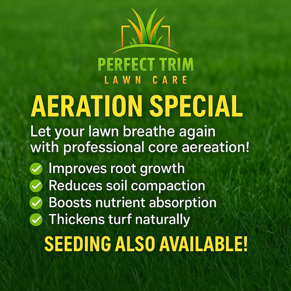 Top-rated landscaping services experts serving Hagerstown, MD - Perfect Trim