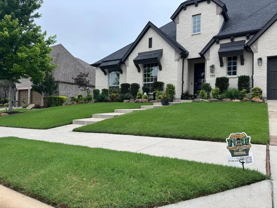 Trusted landscape installation in Frisco, TX - Perfect Turf