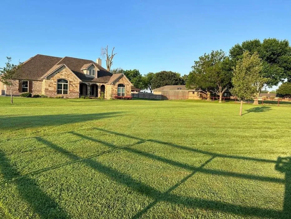Trusted landscape design in Frisco, TX by Perfect Turf