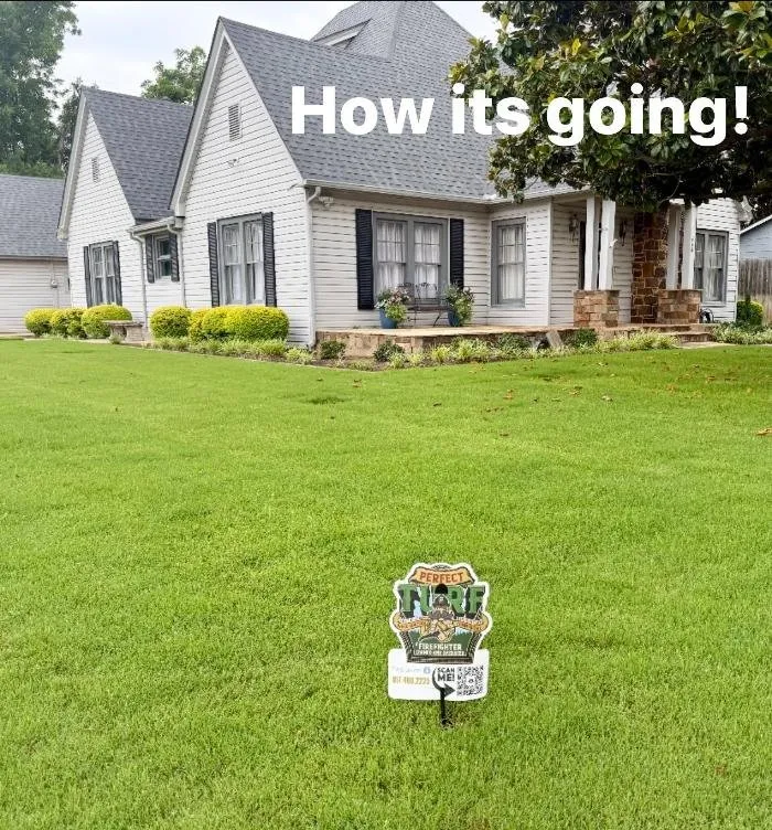 Custom garden landscaping for outdoor upgrades in Frisco, TX by Perfect Turf