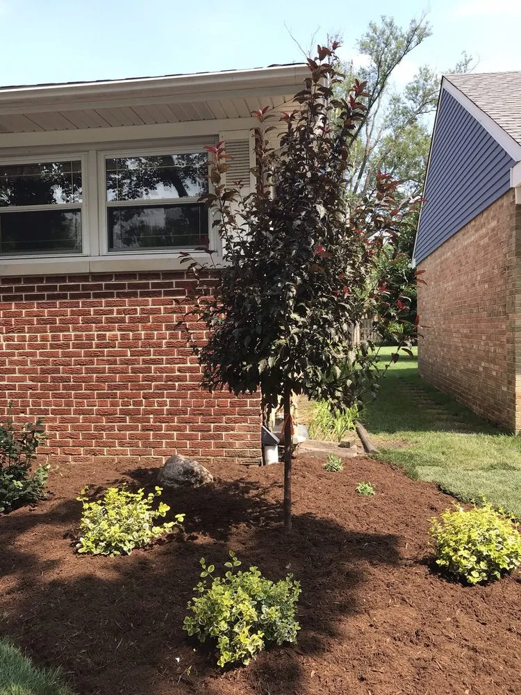 Professional landscape design in Des Plaines, IL by Perfect Turf Landscaping