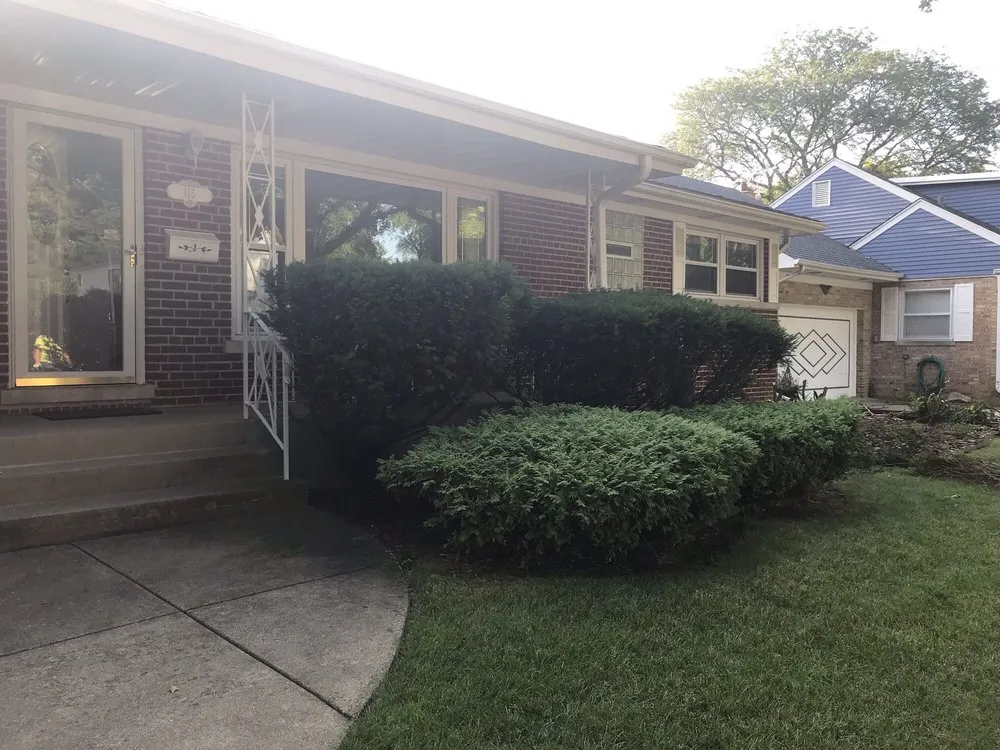 Professional yard cleanup service in Des Plaines, IL - Perfect Turf Landscaping