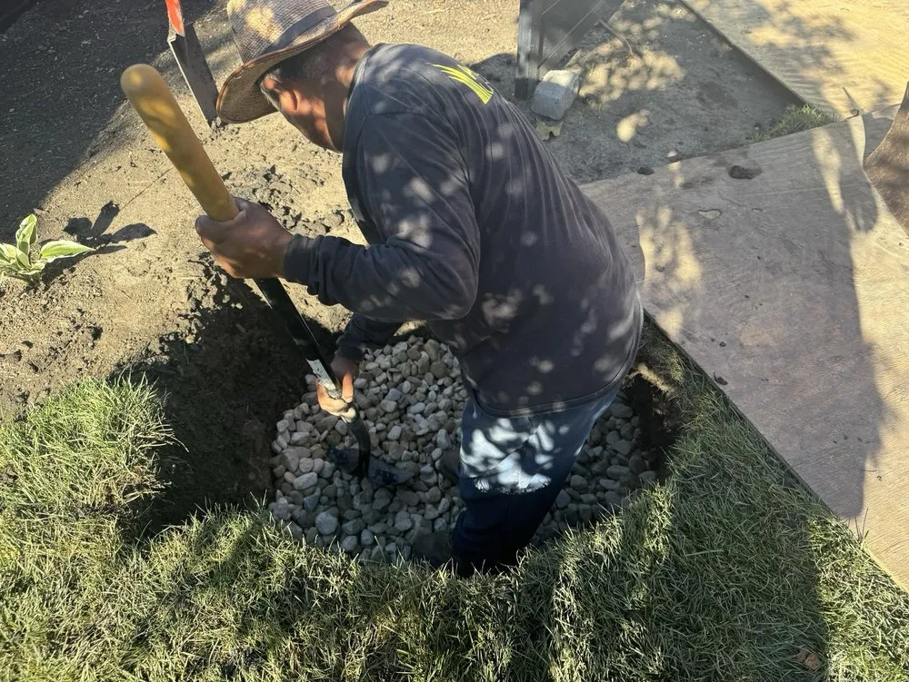 Affordable residential landscaping experts serving Des Plaines, IL - Perfect Turf Landscaping