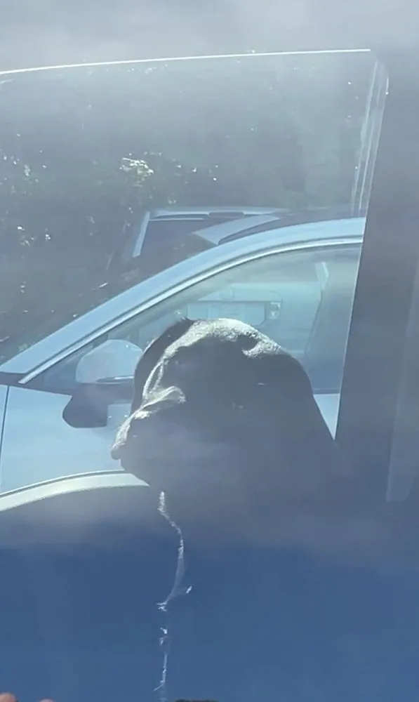 Affordable landscaping services in North Kansas City, MO by Perfect Turf Lawn & Landscaping