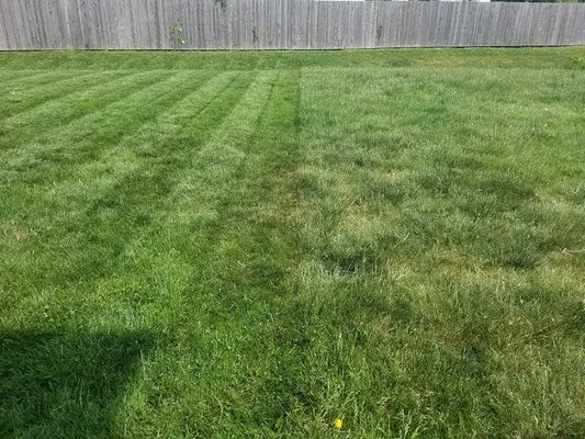 Perfect Turf Lawn Care Logo