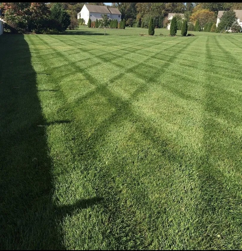 Affordable lawn care service with custom design in Williamstown, NJ by Perfect turf lawn services