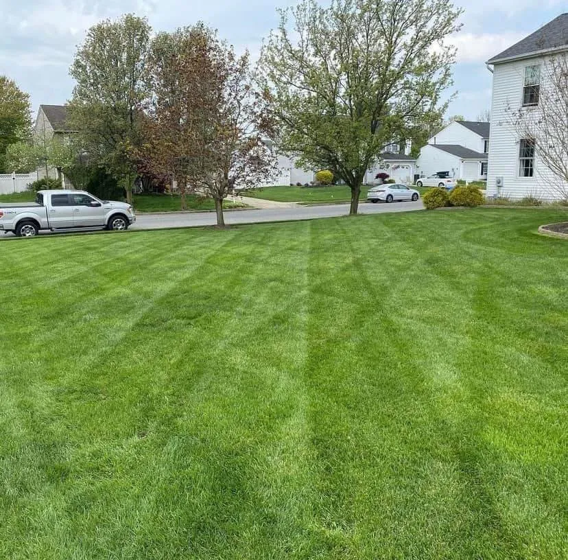 Local outdoor landscaping near you across Williamstown, NJ - Perfect turf lawn services