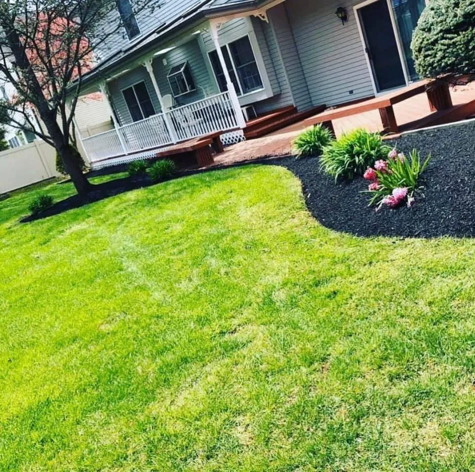 Reliable yard cleanup service with custom design across Williamstown, NJ - Perfect turf lawn services