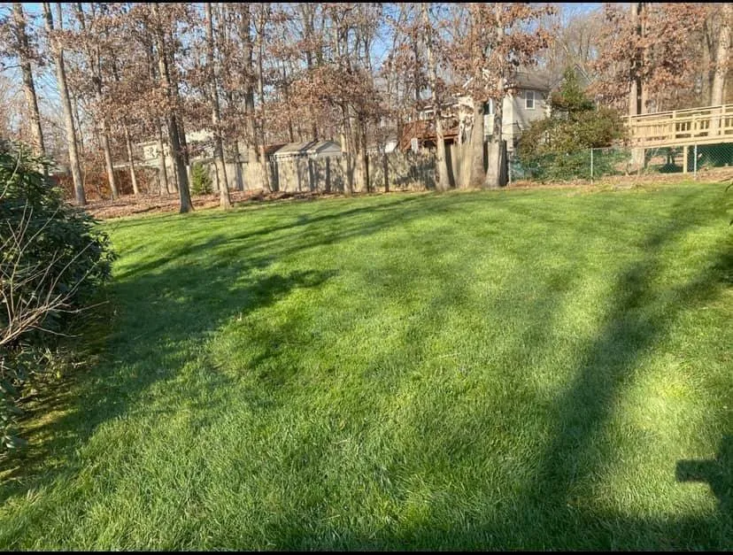 Affordable yard maintenance for beautiful yards across Williamstown, NJ - Perfect turf lawn services