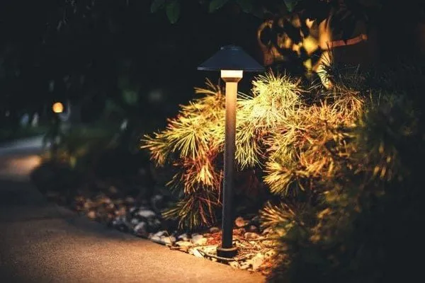 Perfect turf lawn services Logo