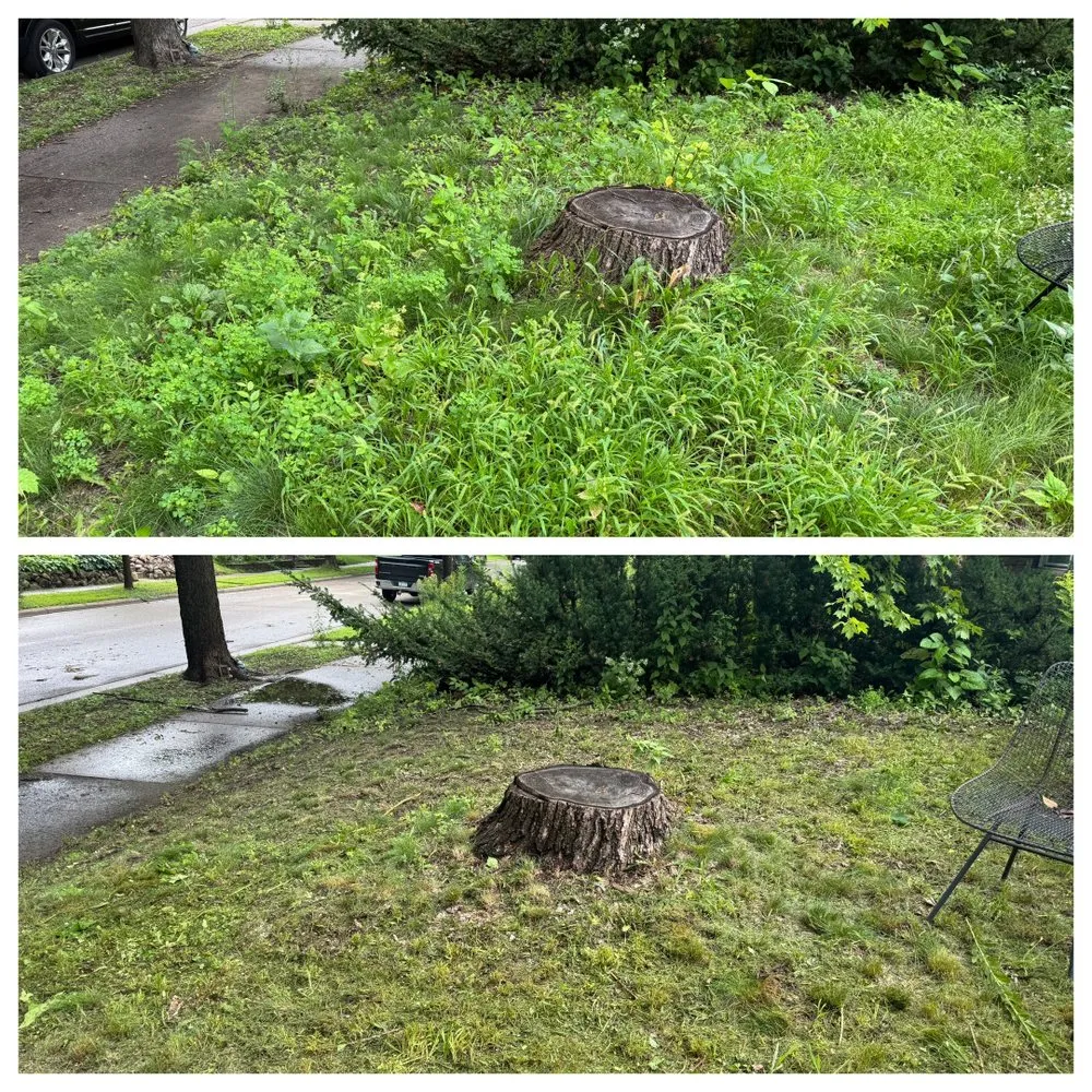 Professional lawn mowing service for outdoor upgrades across Saint Paul, MN - Perfect Turf