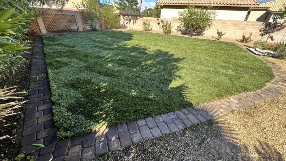 Expert lawn mowing service in Las Vegas, NV by Perfect View Landscape