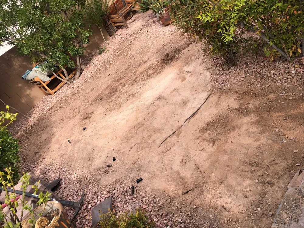 Top-rated yard cleanup service in Las Vegas, NV - Perfect View Landscape