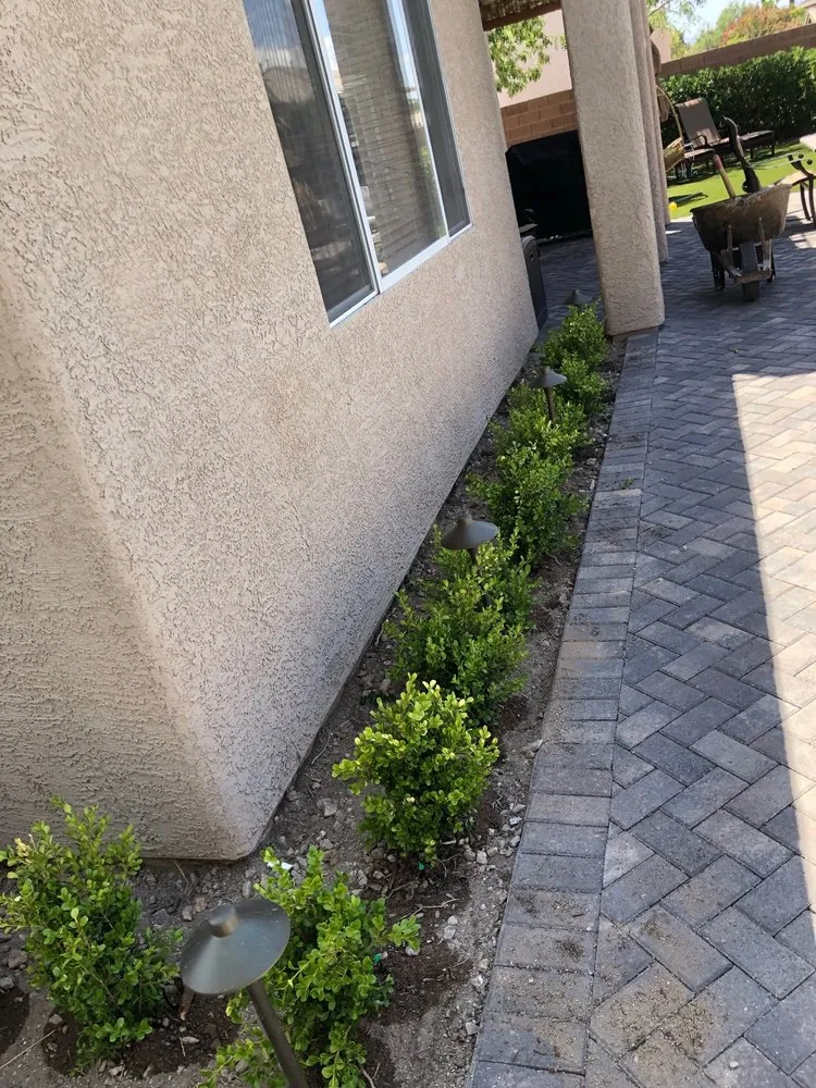 Custom yard maintenance in Las Vegas, NV - Perfect View Landscape