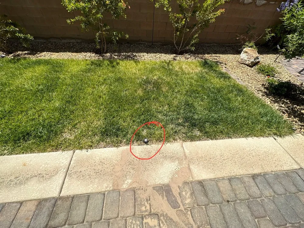 Reliable lawn mowing service experts serving Las Vegas, NV - Perfect View Landscape