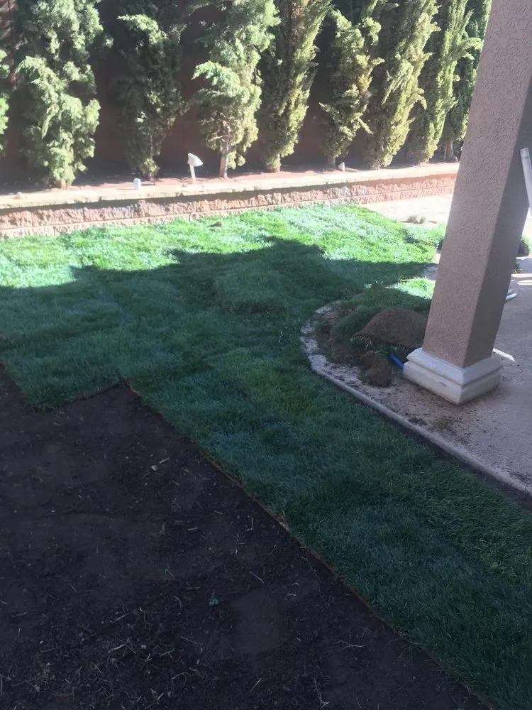 Expert landscape design in Las Vegas, NV by Perfect View Landscape