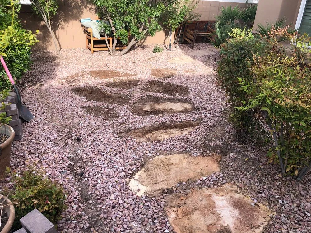 Expert yard maintenance experts serving Las Vegas, NV - Perfect View Landscape