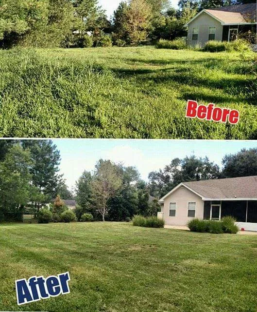 Affordable lawn care service experts serving Brunswick, GA - Perfect View Landscaping Solutions