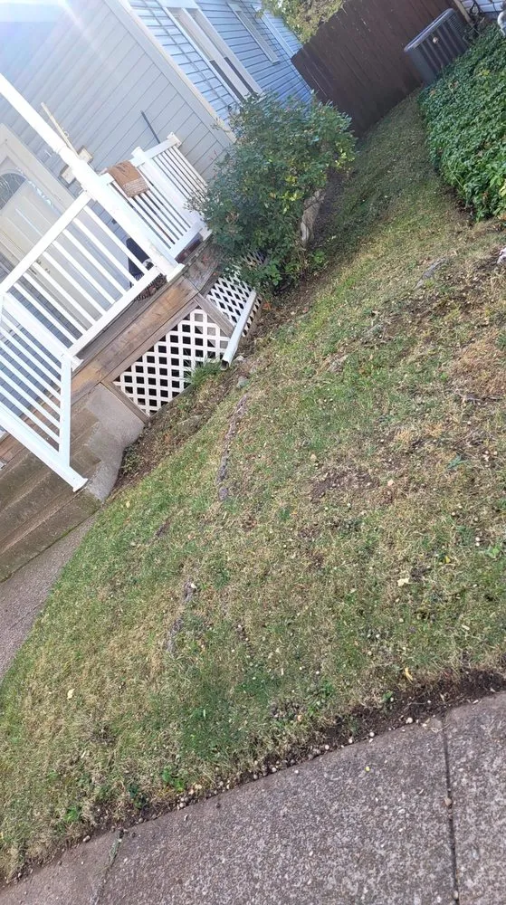 Trusted landscape design in Erie, PA - Perfectcutz