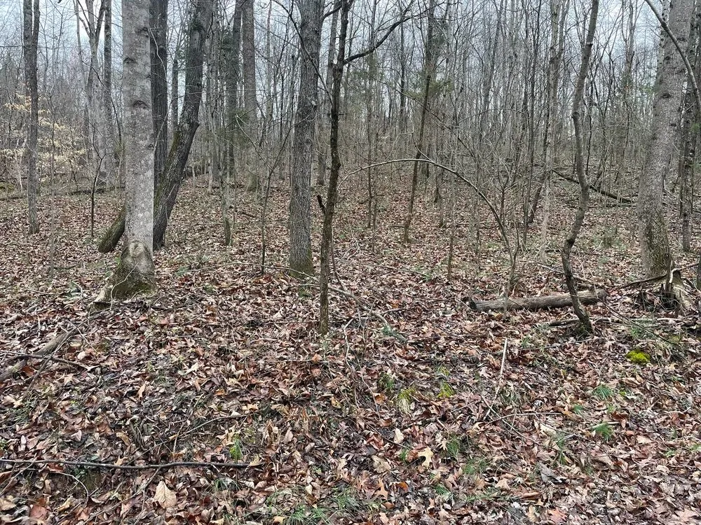 Local garden landscaping near you across Erin, TN - Perfected forestry and lawn