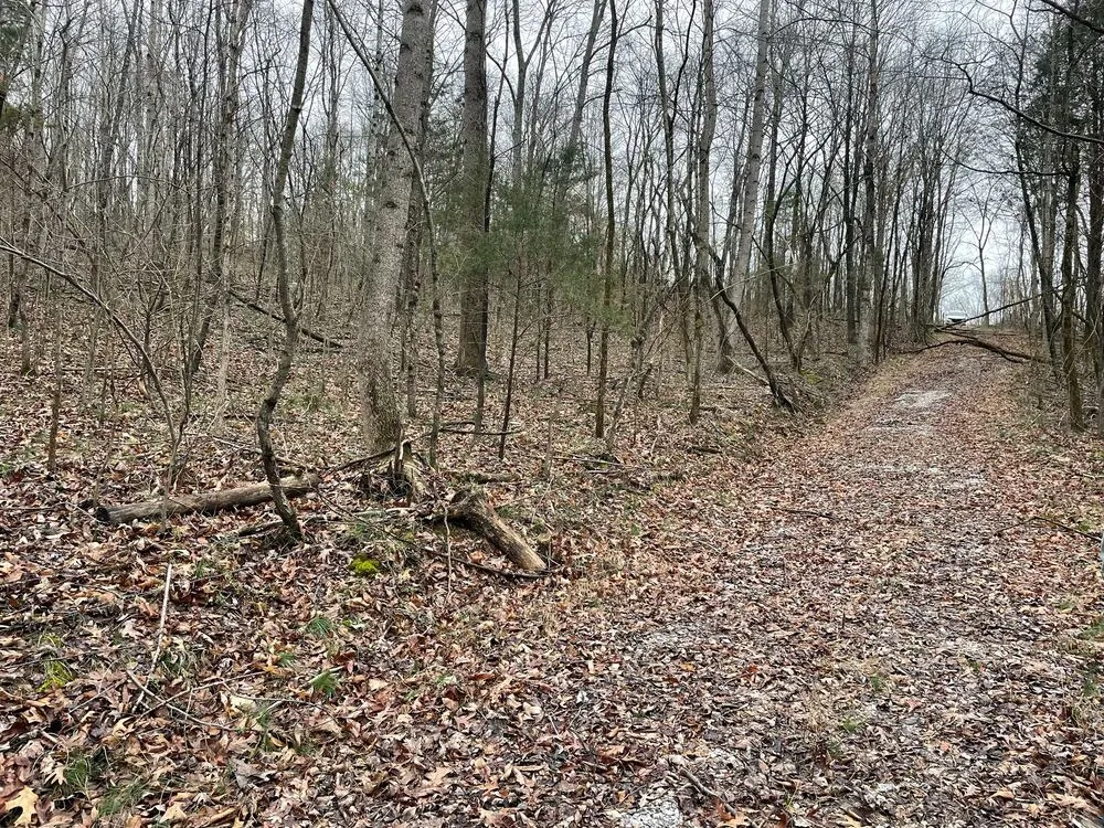 Trusted residential landscaping for year-round maintenance in Erin, TN by Perfected forestry and lawn