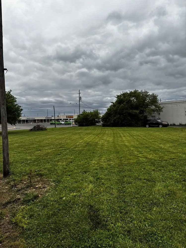 Top-rated yard cleanup service in Indianapolis, IN - Perfection