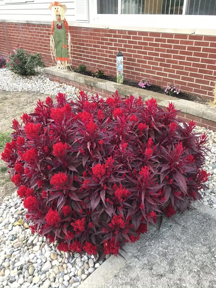 Trusted landscape design in Indianapolis, IN by Perfection Landscape and Design