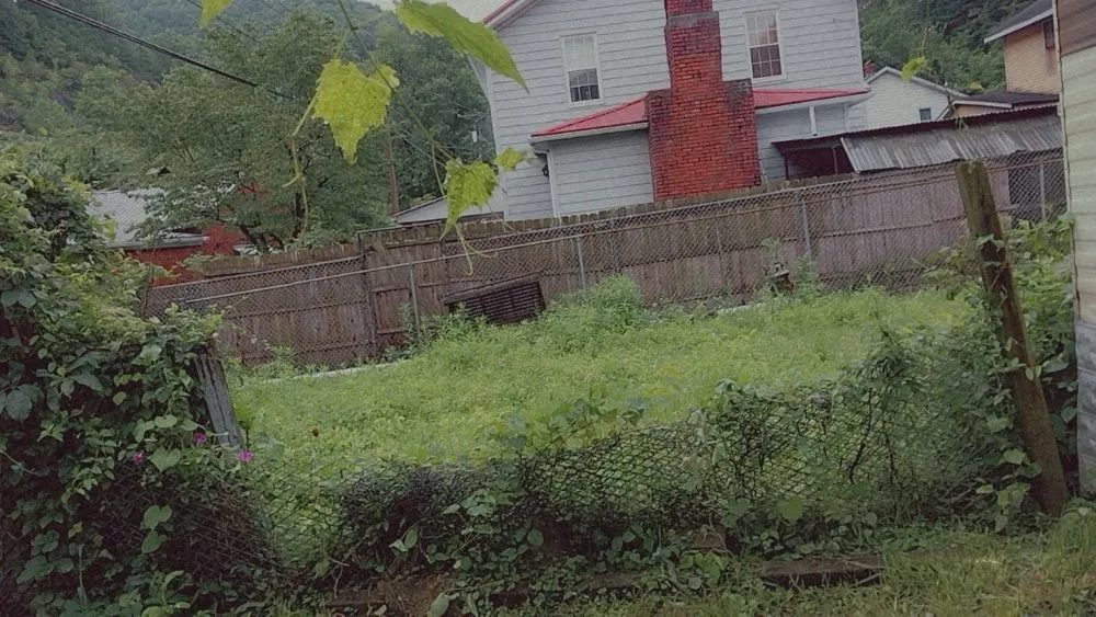 Expert yard maintenance for homes across Chapmanville, WV - Perfection Landscape